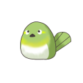 めじろちゃん