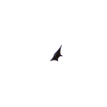 羽02