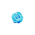 勇利の薔薇コサージュ
