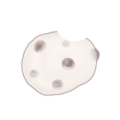 くわえ豆大福