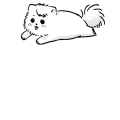 ポメラニアン