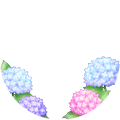 水彩紫陽花フレーム（丸）改