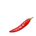 シンプル唐辛子