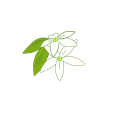 DO1 オレンジの花