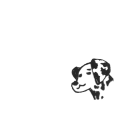 Snow Man KISSIN' MY LIPS ダルメシアン