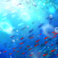 水中