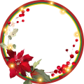 Poinsettia