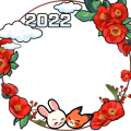 2022 SJ