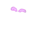 Hi_JO1 木全翔也うさ耳