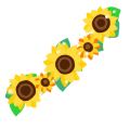 ひまわりの花冠　向日葵