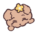 슈아지