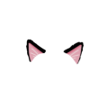 ハロウィン　仮装　黒猫