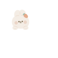 당근뽀짝빈