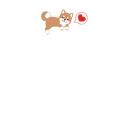 豆ちゃん　柴犬おんりー