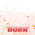BURN_Automatic