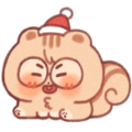 메리도란마스