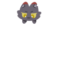 Poppy