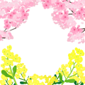 春　菜の花と桜のフレーム
