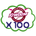 Kiwoom Heroes X100