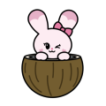 COCONUT PyonPyon