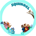 Team Squirrel