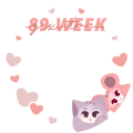 がくてん / 89 WEEK (type 2)