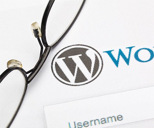 Wordpress Backend