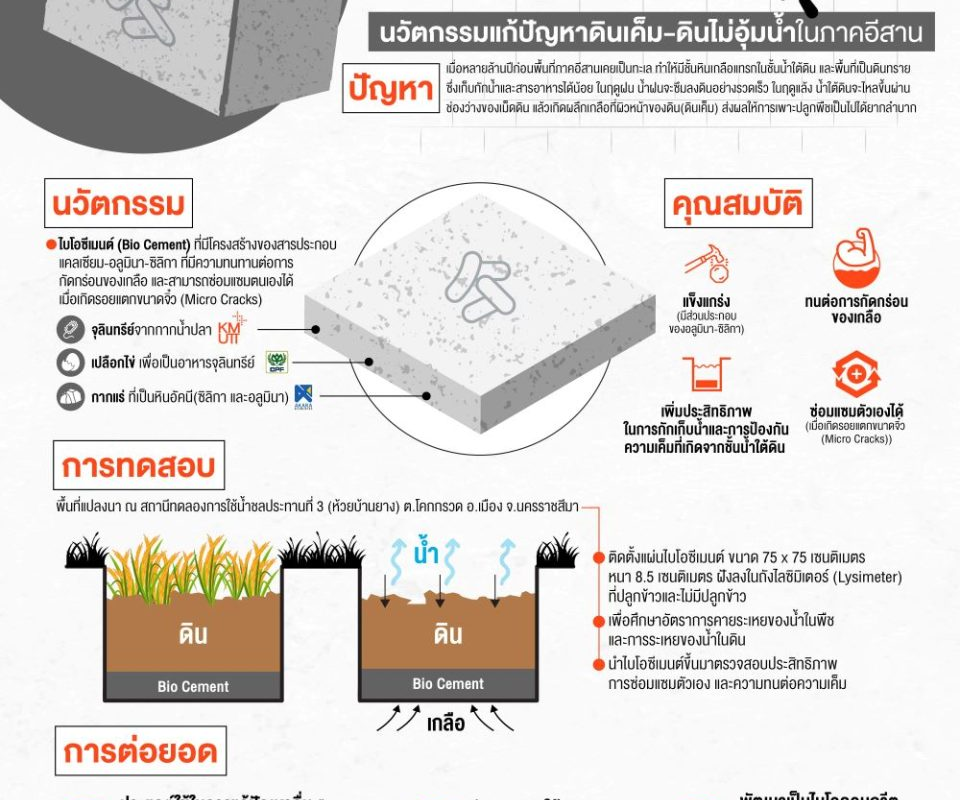 BMT: Biosmart Material and Technology Research Group @FSCI