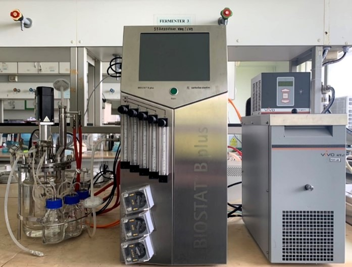 Solid State Fermentation (SSF) Laboratory