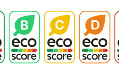 Eco-score: from idea to implementation