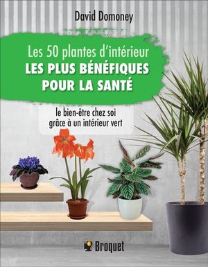 50 plantes d'intérieur les bénéfiques la santé : le... - Coop Zone