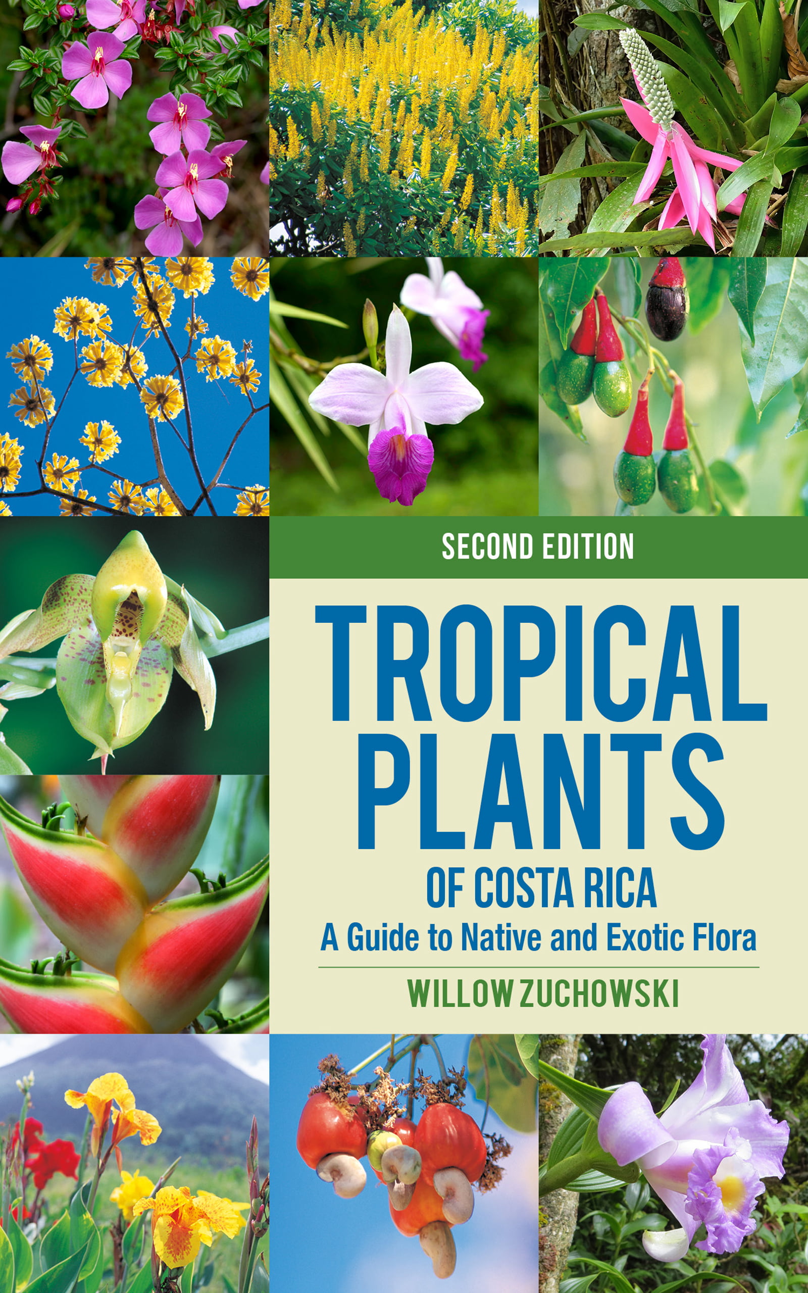 洋書 TROPICA: Exotic Plants and Trees 洋書 TROPICA: Exotic Plants and Trees TROPICA Color