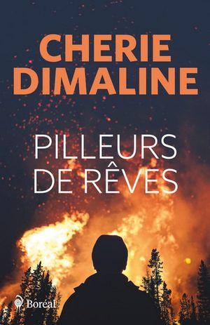 Image du produit Pilleurs de rêves