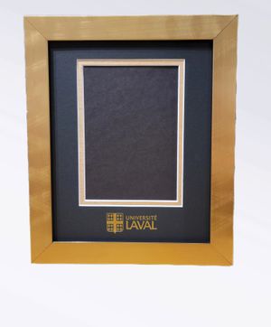 Image du produit Cadre pour photos U.L. noir et or Florentine 8 X 10