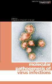Image du produit Molecular Pathogenesis of Virus Infections