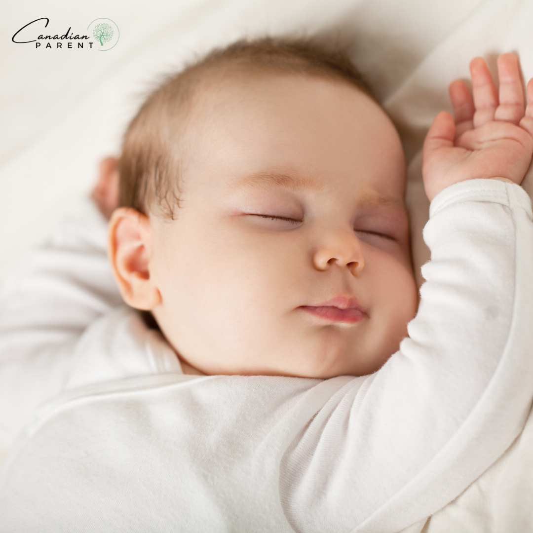 How much do newborns sleep?