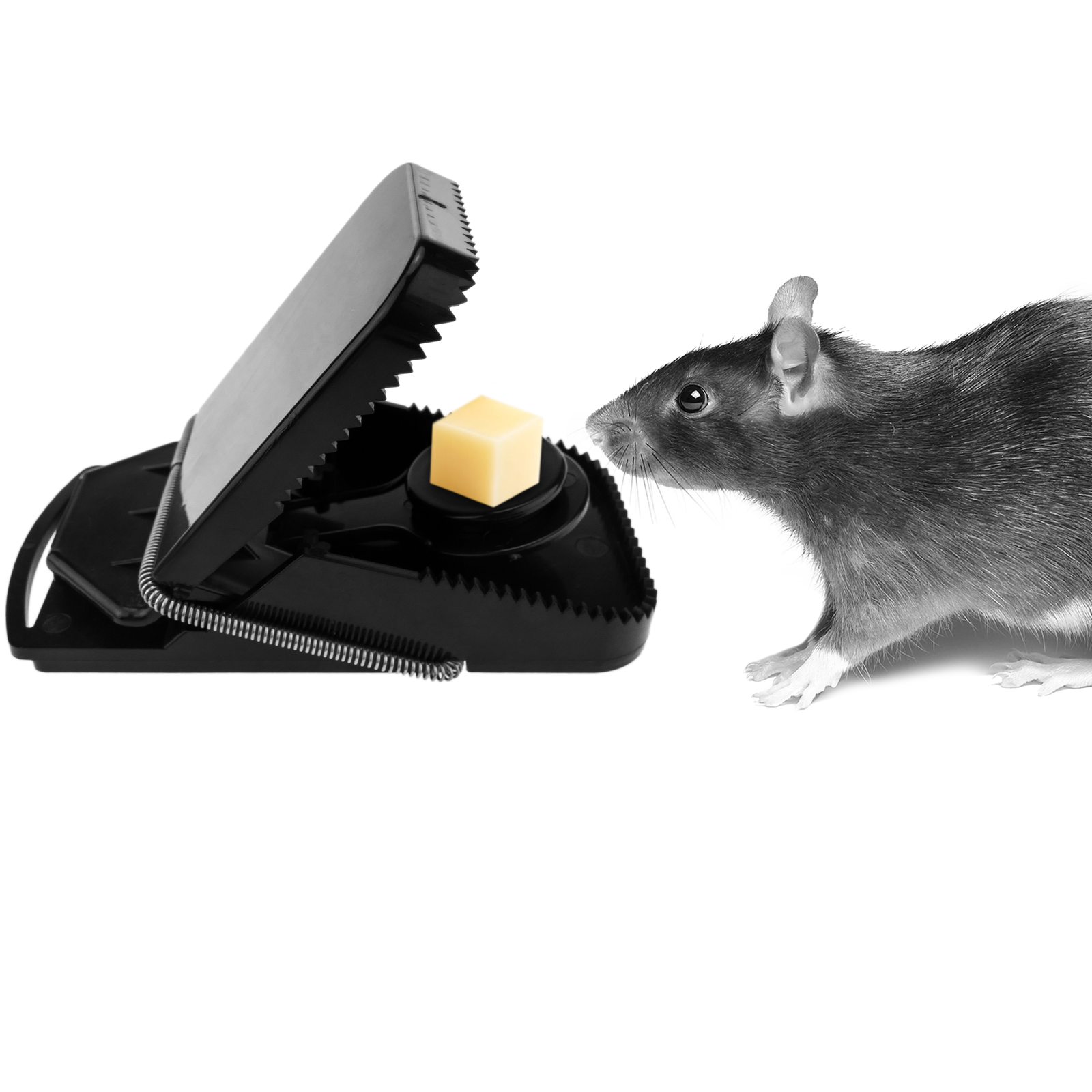 BNGXR Tapetteà Souris Rats Plastique Réutilisable, Piège à Souris