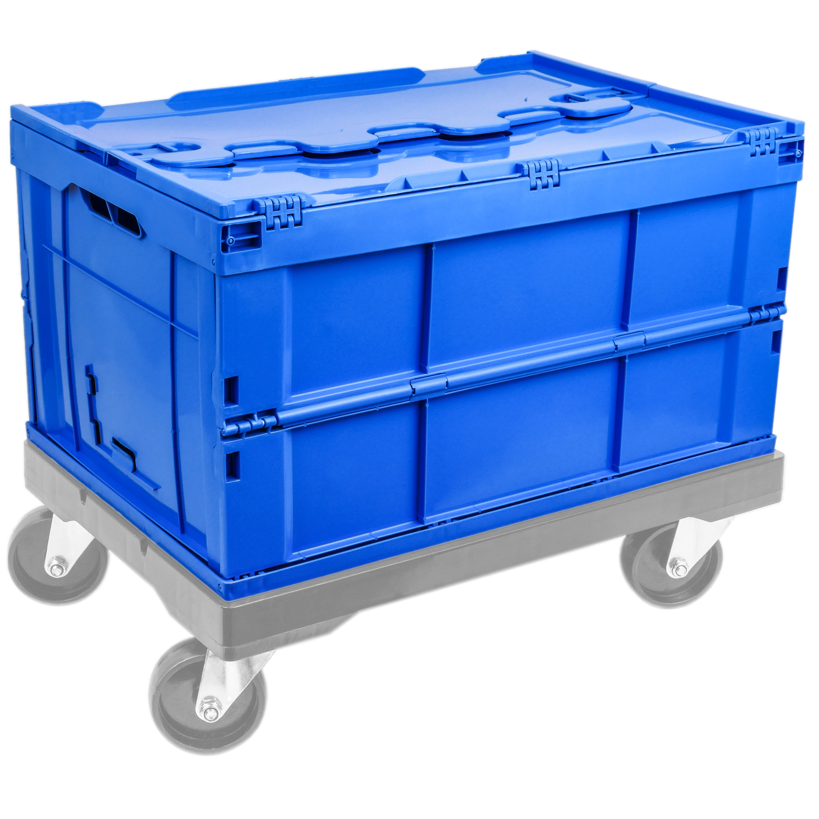 Denox - Caja transparente Eurobox 38 litros con tapa azul. (Lote