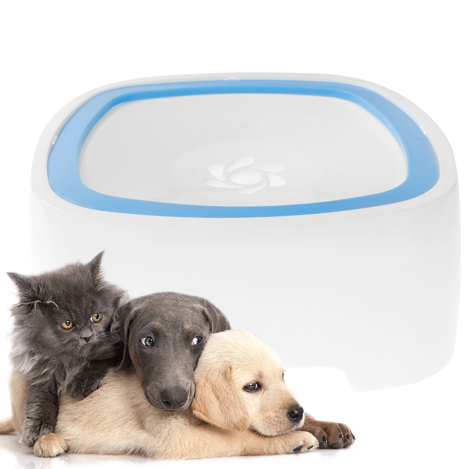 Fontanella per l'acqua del cani e gatti 2.5L blu. Bevitore e distributore  automatici per animali domestici - Cablematic