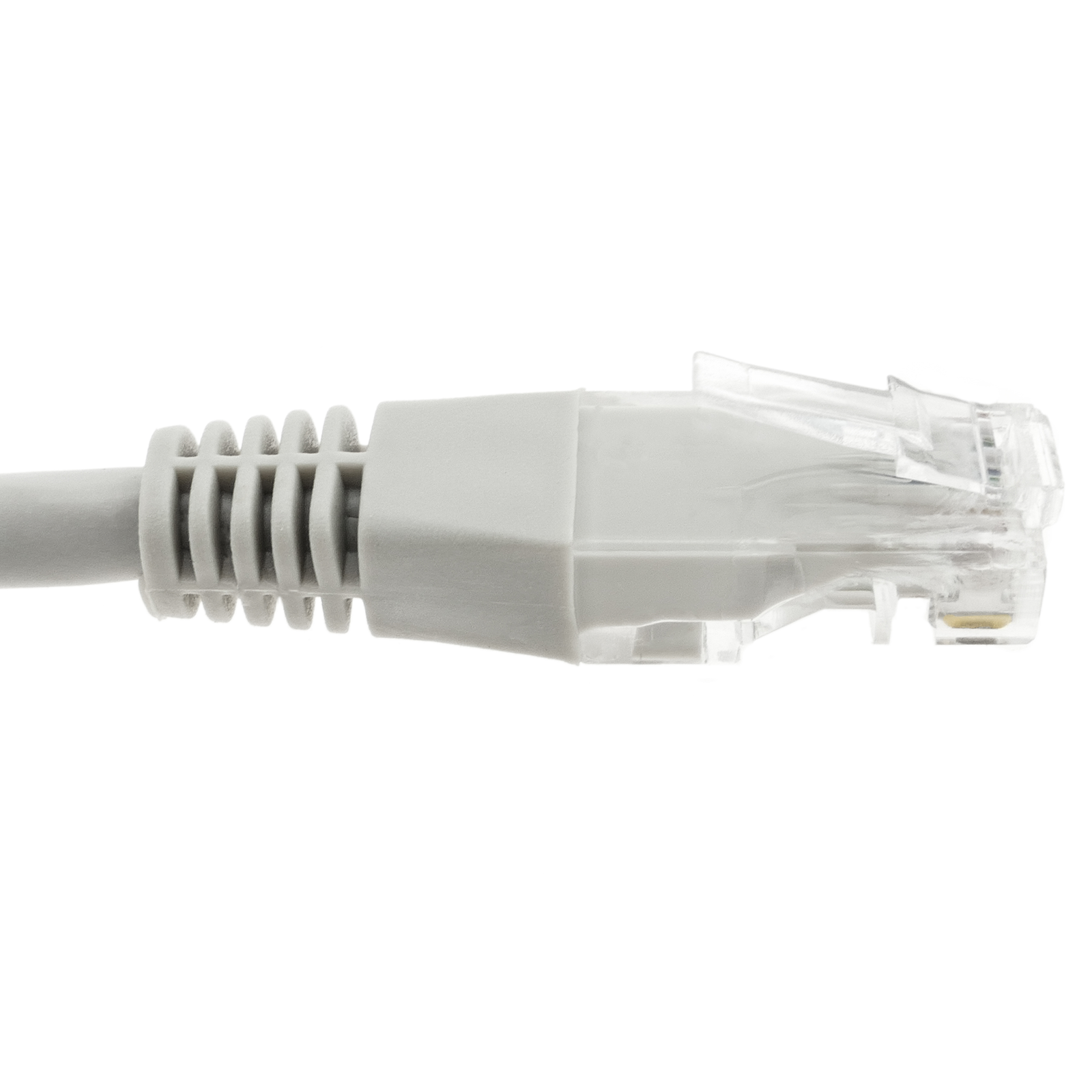 Max Connection Pack 2 Câbles Réseau F/STP RJ45 Cat.7 24AWG 0,5m +