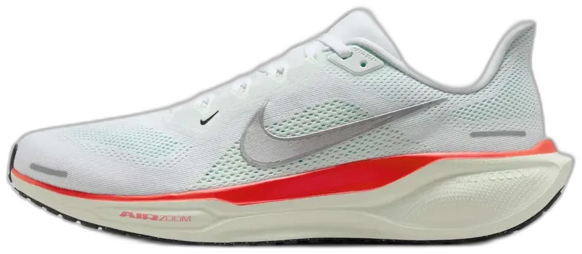 Pegasus 41