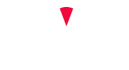 SVS Vision logo