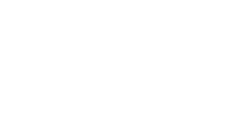 Mad Mex logo