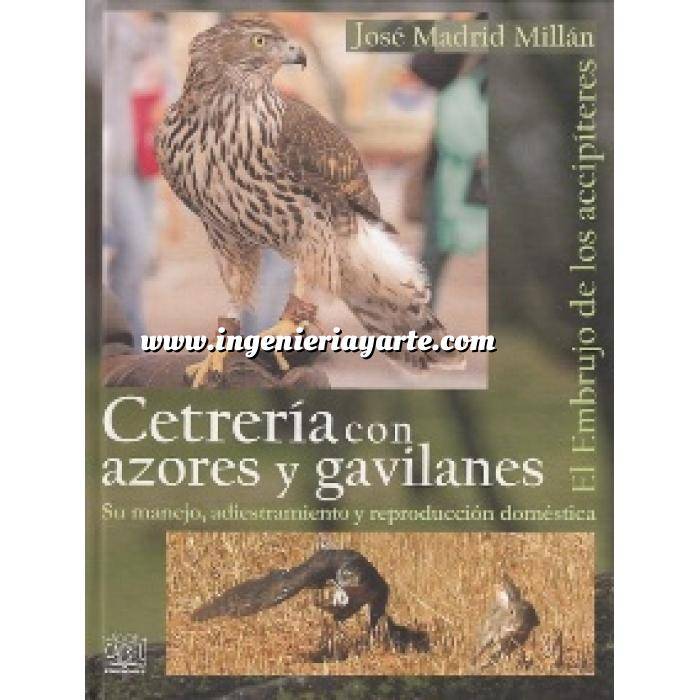Imagen Cetrería y aves de caza
 Cetrería con azores y gavilanes. El embrujo de los accipíteres 