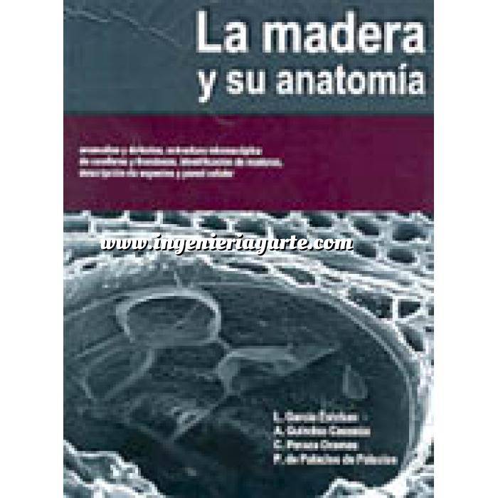 Imagen Madera
 La madera y su anatomia