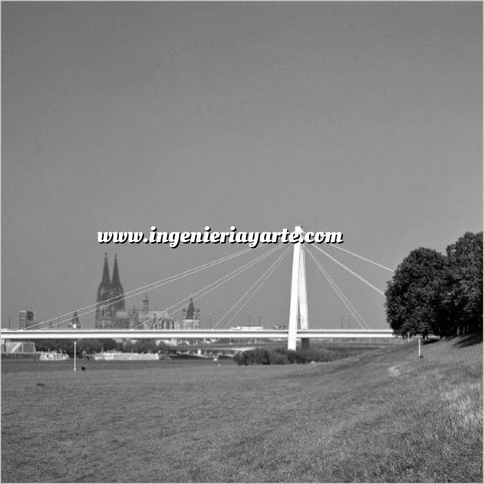 Imagen Puentes y pasarelas Rhine Bridges