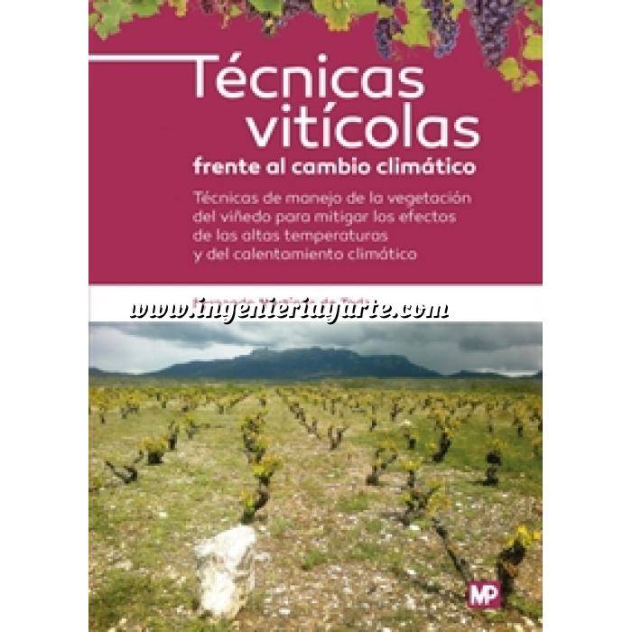 Imagen Viticultura Técnicas vitícolas frente al cambio climático