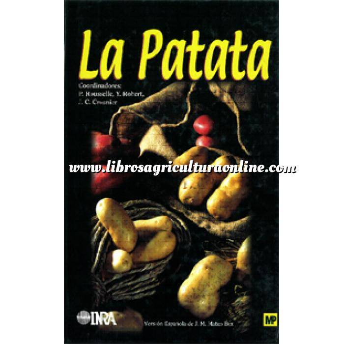 Imagen Horticultura La patata