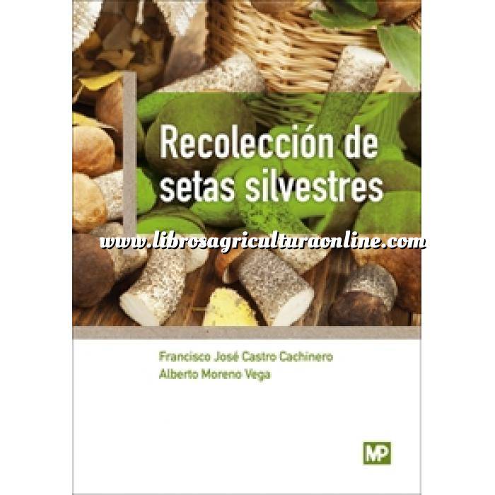 Imagen Micologia Recolección de setas silvestres 