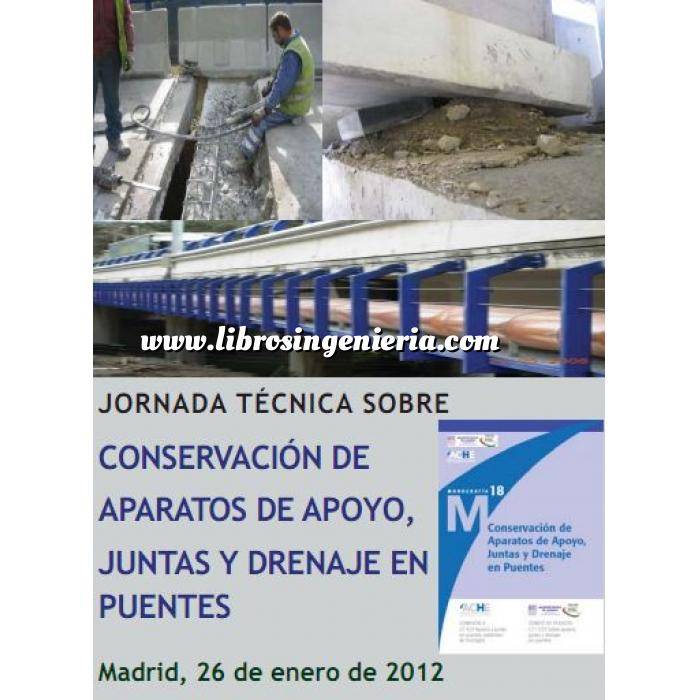 Imagen Puentes y pasarelas Conservación de aparatos de apoyo, juntas y drenaje en puentes 